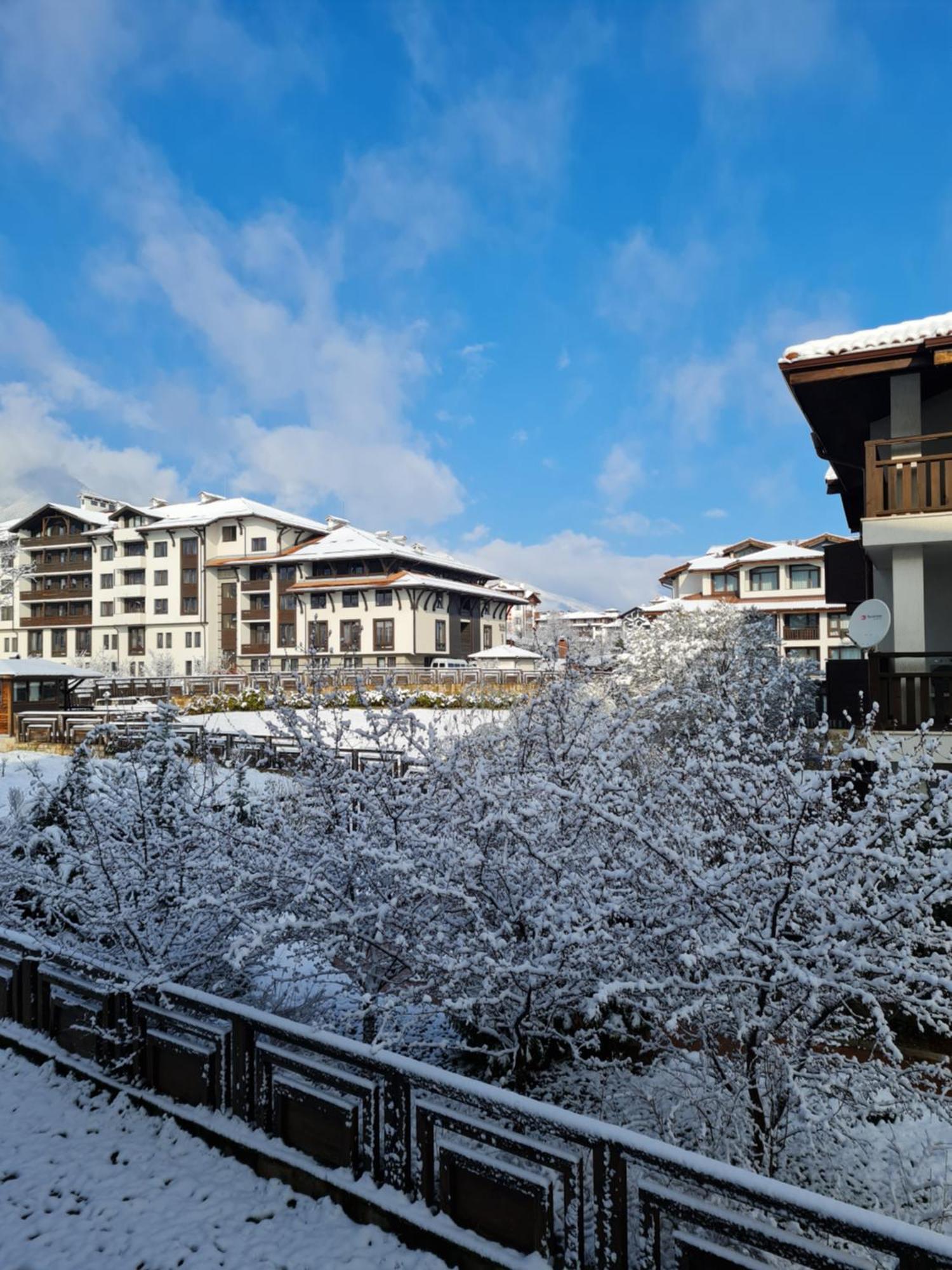 Edelweiss Inn Apartment 20 Bansko Habitación foto